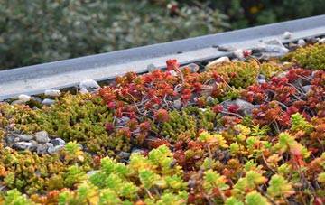 the cost of Baumber green roof installation