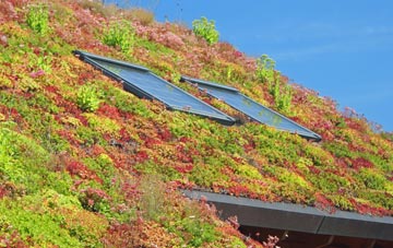 Baumber living roof systems