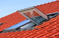 Baumber roof window